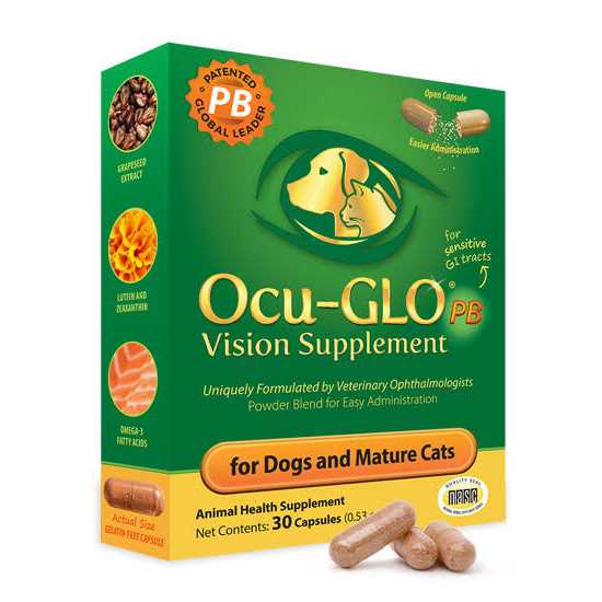 Powder Blend Vision Supplement for Dogs N79031