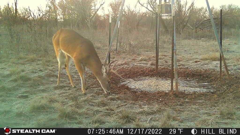 32MP 1080P Video Trail Camera with Security Box M487697
