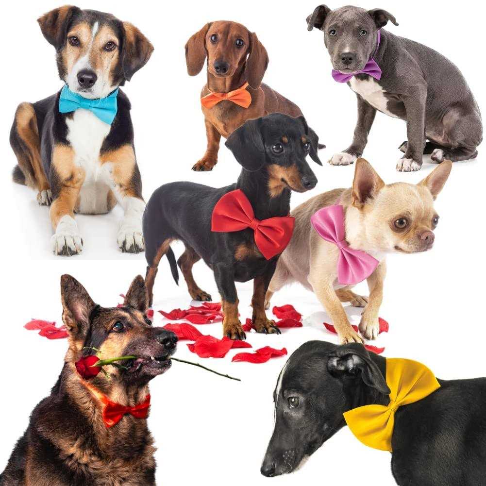 Dog Bow Ties with Adjustable Collar J253