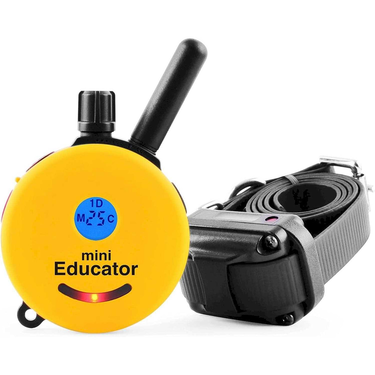 Remote Dog Training Collar Q592