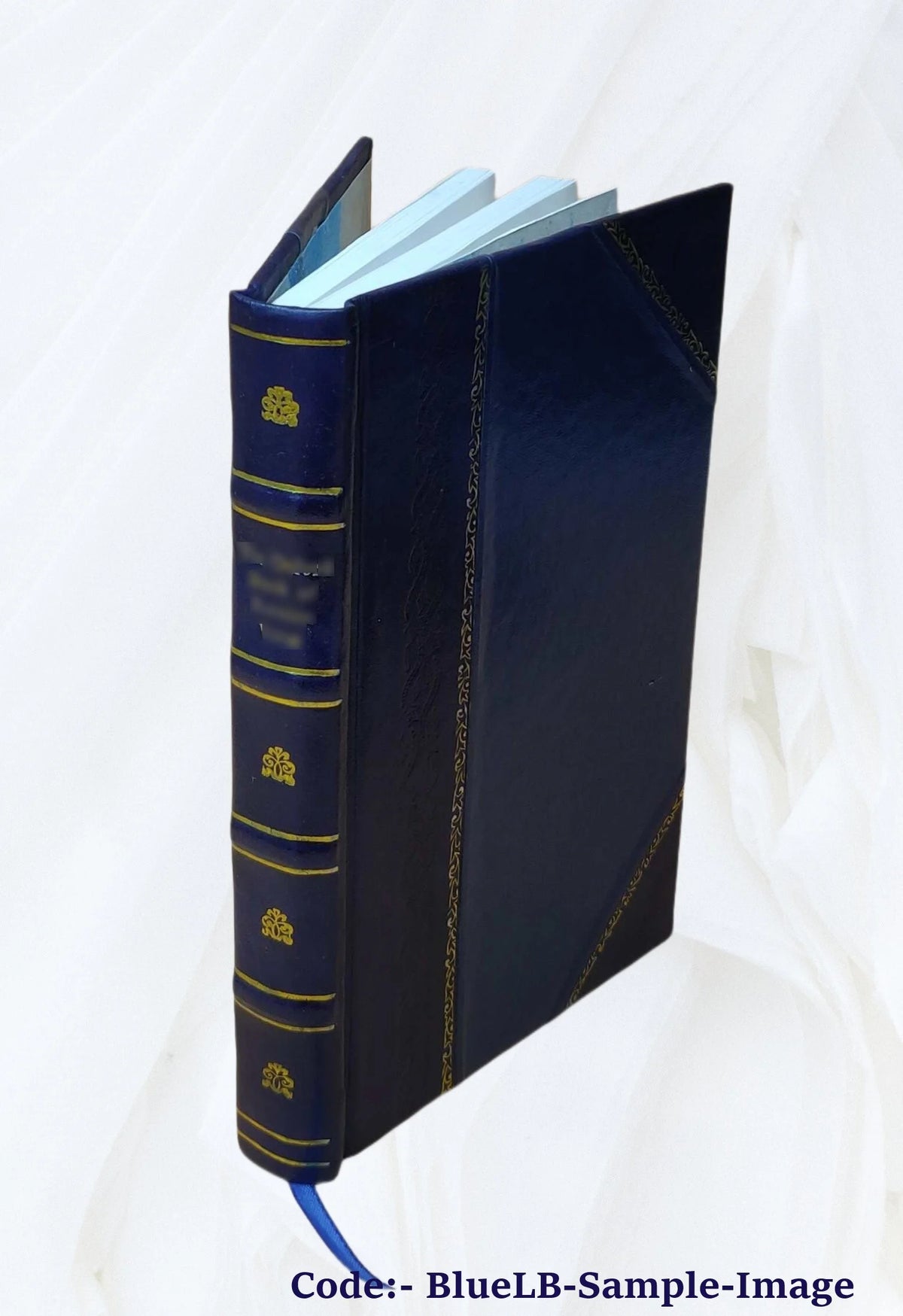 Ralph Ryder of Brent; a novel 1892 [Leather Bound] B379620