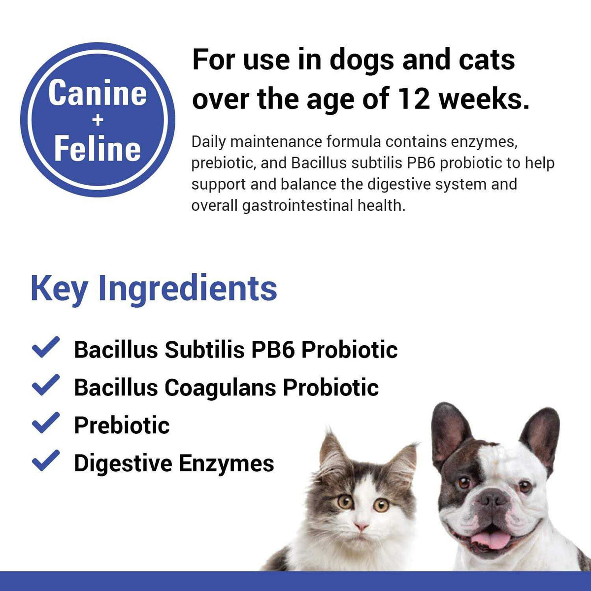 Pet Supplies T827114