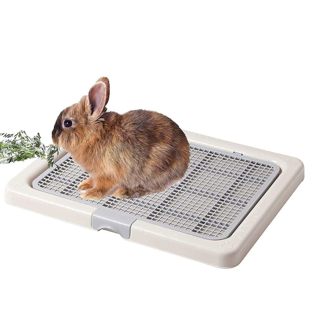 3 Sizes Small Puppy Dog Toilet Training Tray Pet Pads Holder D66926