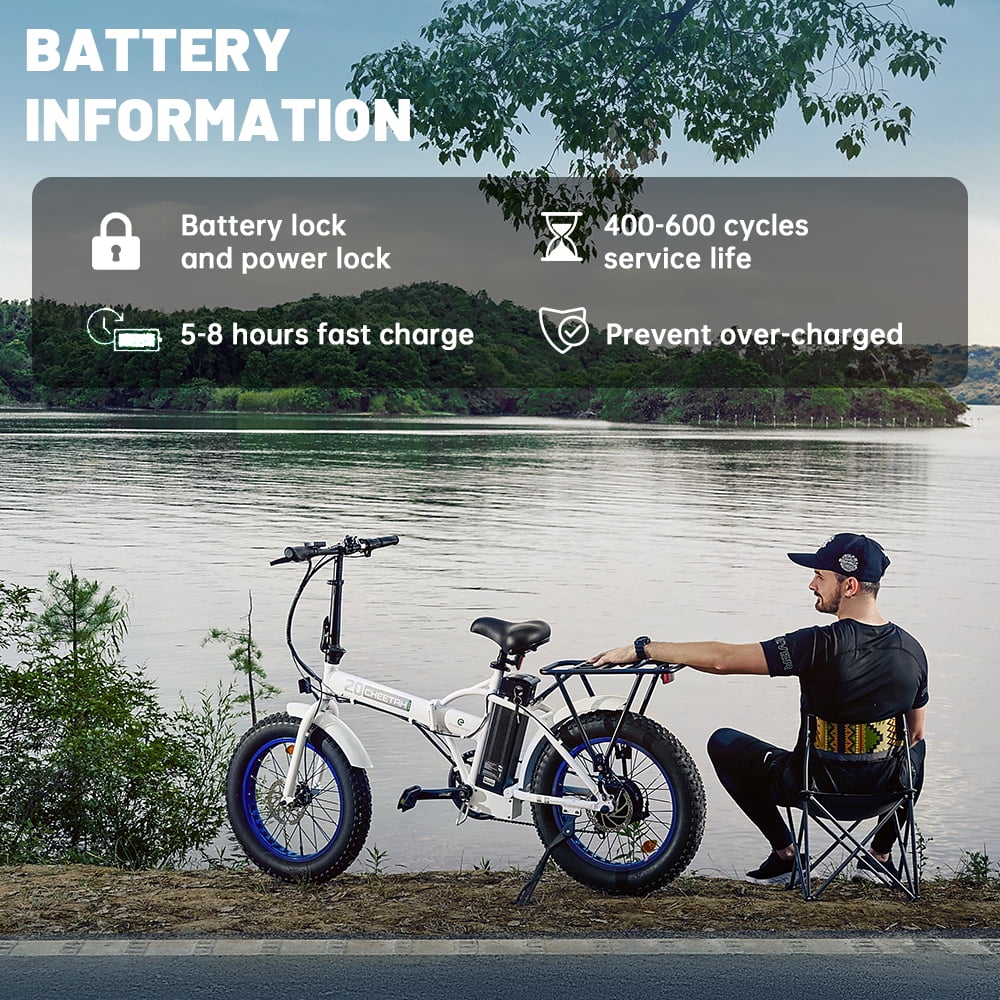 20" Fat Tire Folding Electric Bike B699