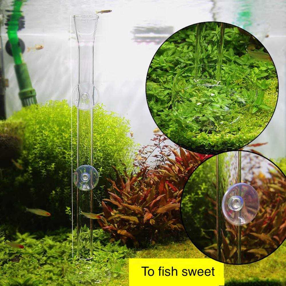 Aquarium Shrimp Feeding Tube and Dish Clear Crystal Glass T4657