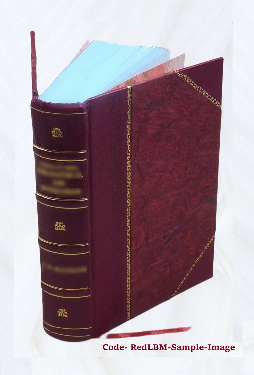 Leather Bound Book Z1454