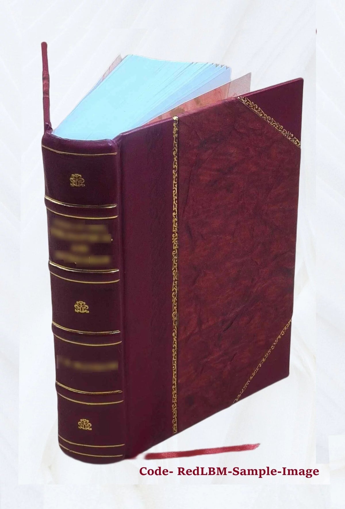 Leather Bound Book Z1454