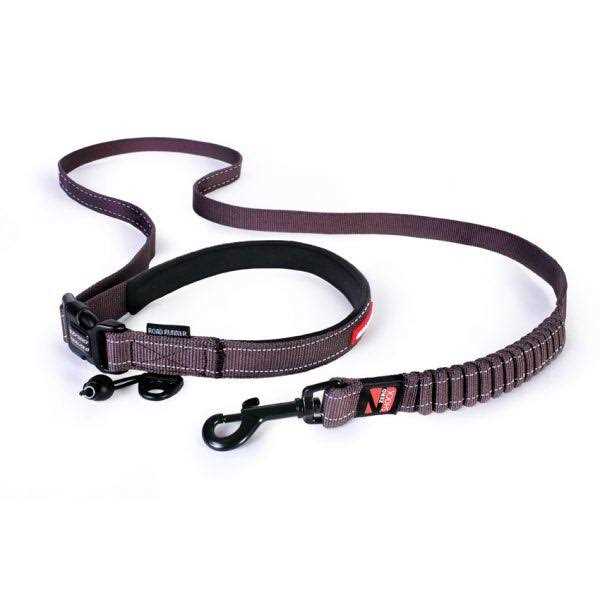 Road Runner Leash C40623