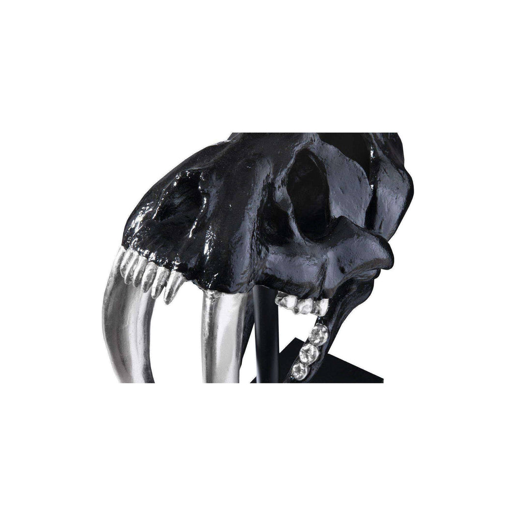 Black Saber Tooth Tiger Skull O600884