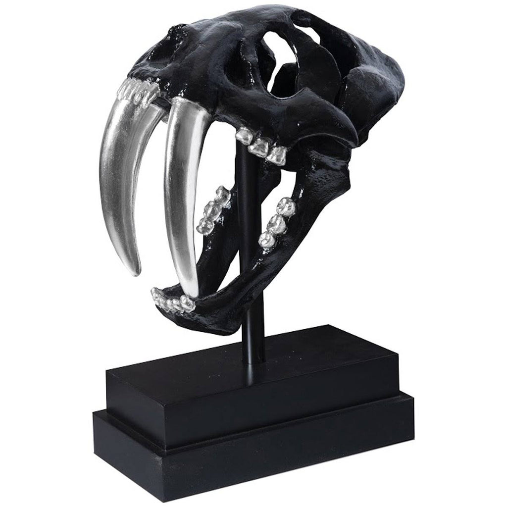 Black Saber Tooth Tiger Skull O600884