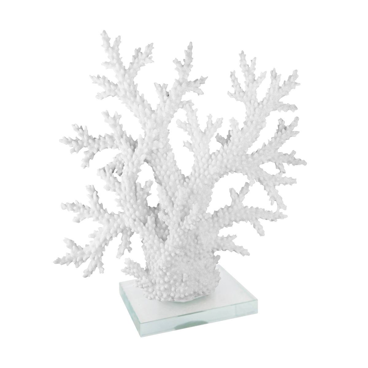 White Coral on Acrylic Base N5770