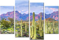 Cactus in Arizona Canvas Print Framed Wall Art L94098