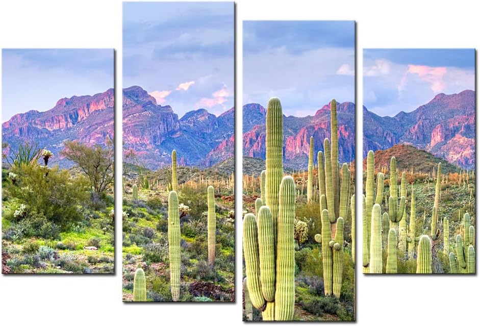 Cactus in Arizona Canvas Print Framed Wall Art L94098