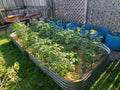 Tall 12-in-1 Raised Garden Bed F448