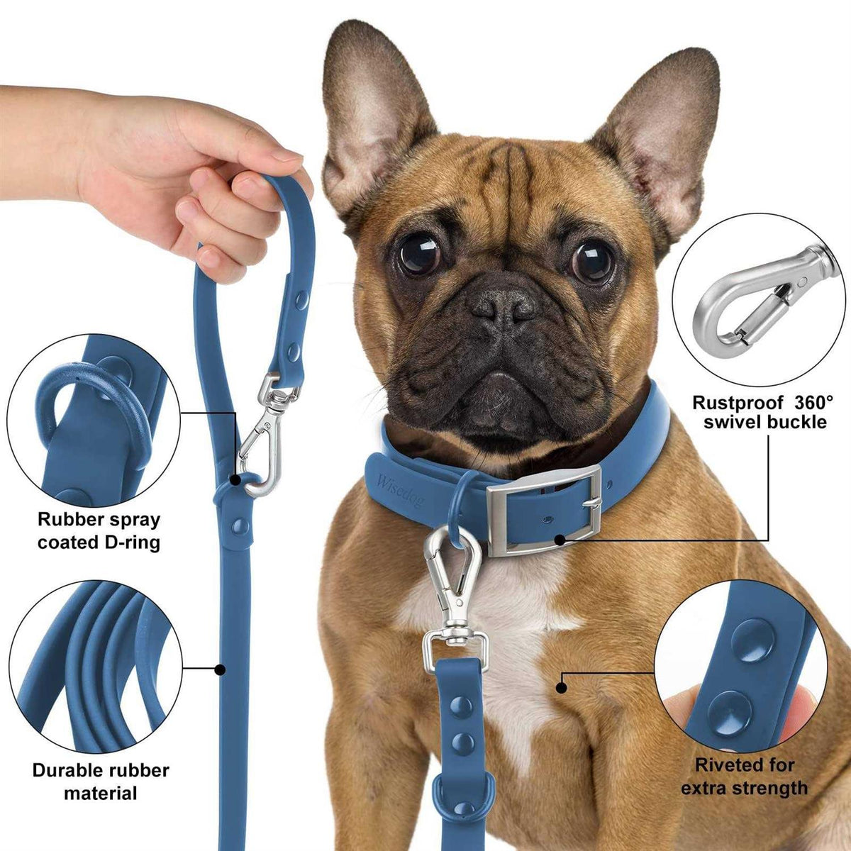 Waterproof Dog Leash with 2 Hooks X172982
