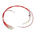 Electrodes & Harness N20513