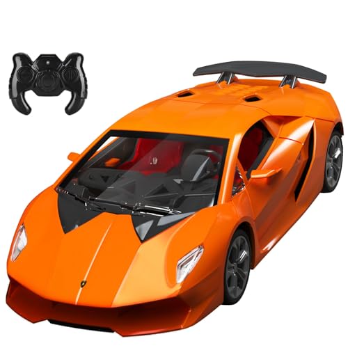 1/24 Scale RC Sport Racing Toy Car T499