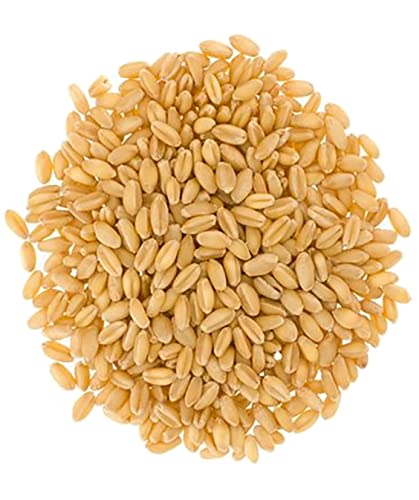 25 LBS Soft White Wheat Berries S26136