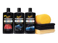 3 Step Paint Care Kit T609895