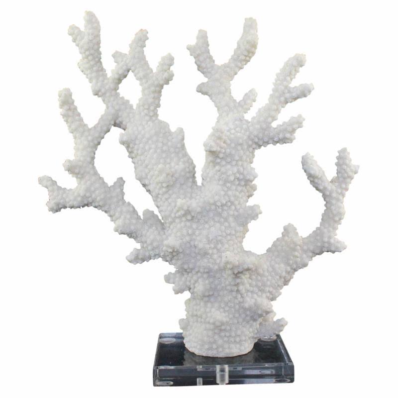 White Coral on Acrylic Base N5770