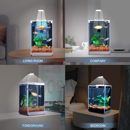 1.5 Gallon Float Glass Fish Tank Starter Kit G83506