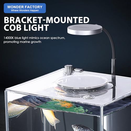 1.5 Gallon Float Glass Fish Tank Starter Kit G83506