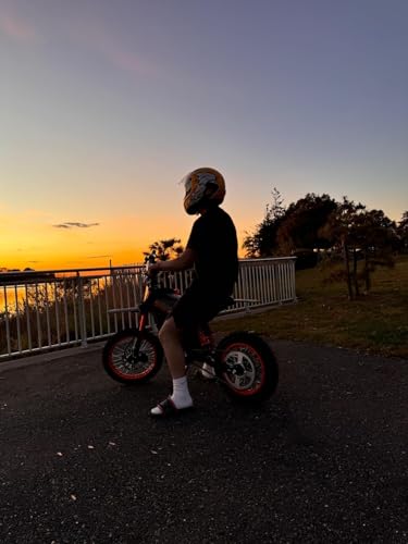 Electric Dirt Bike 2000W, 37MPH Speed, 14"/12" Fat Tires Electric Motorcycle, 48V 21AH Battery A93122