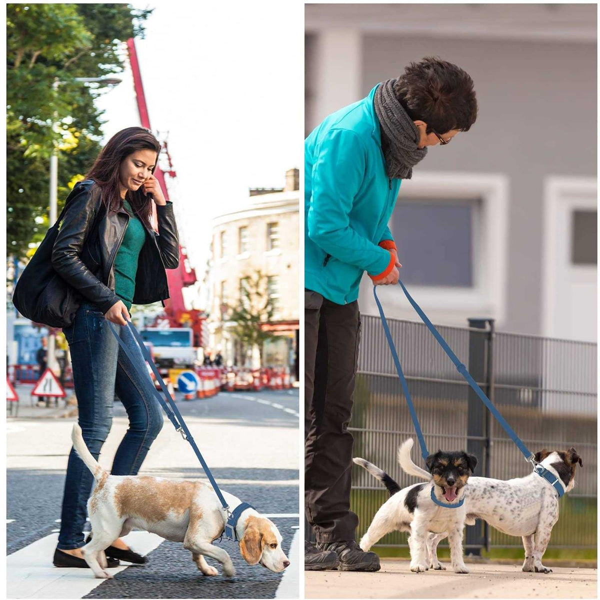 Waterproof Dog Leash with 2 Hooks X172982