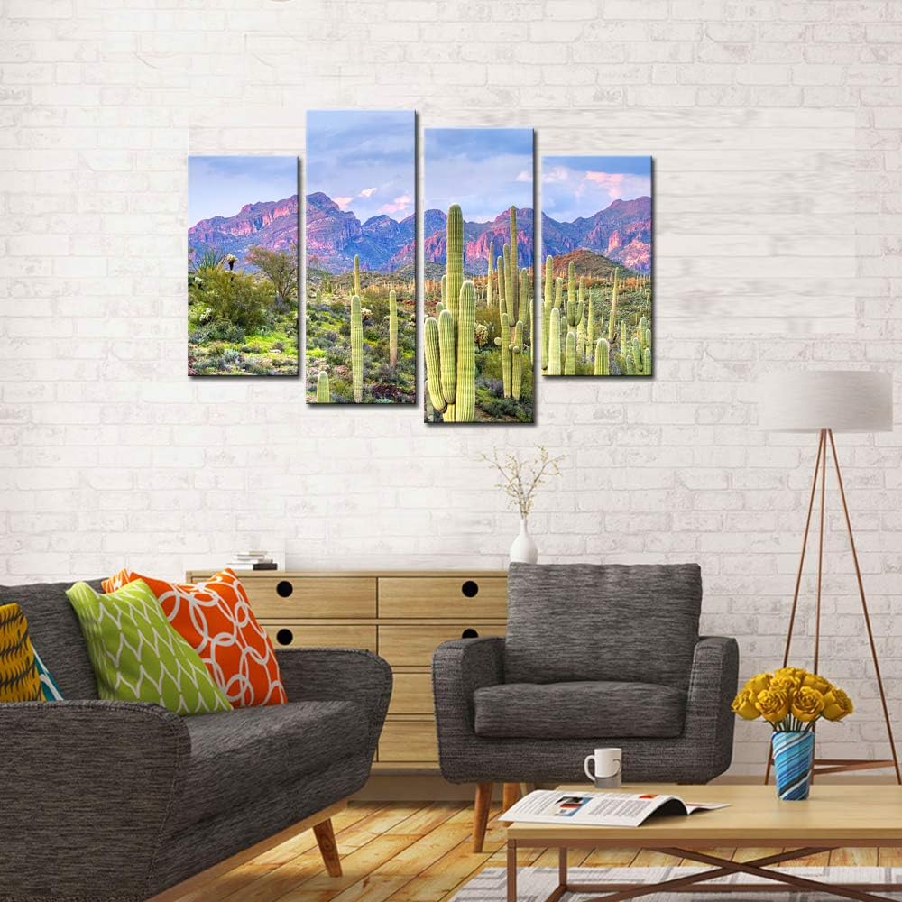 Cactus in Arizona Canvas Print Framed Wall Art L94098