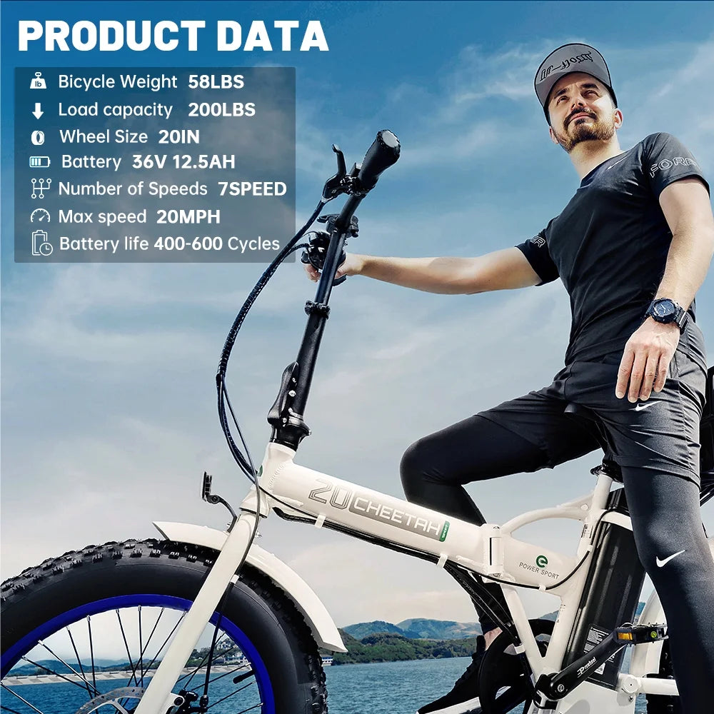 20" Fat Tire Folding Electric Bike B699