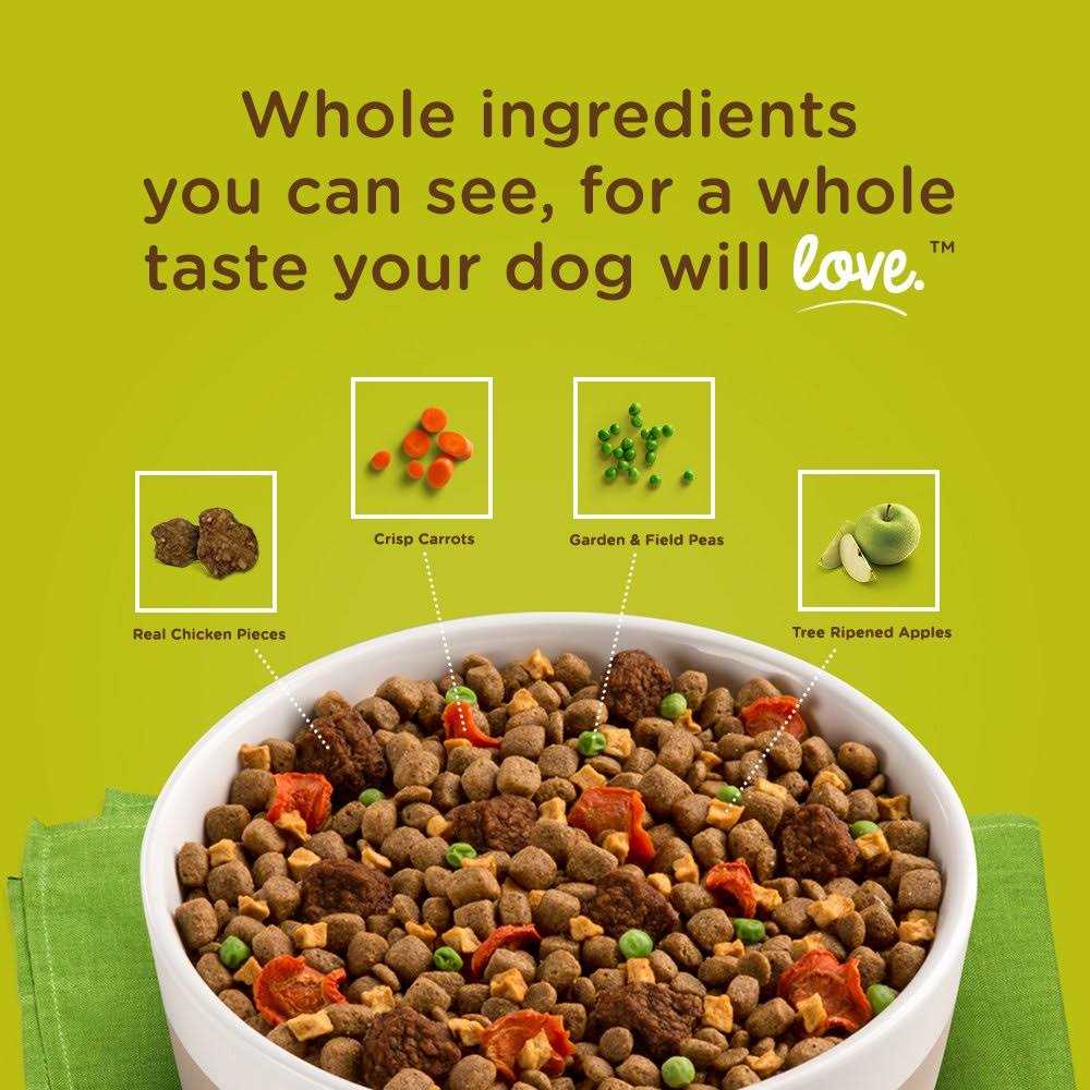 Brown Rice Dog Food X771914