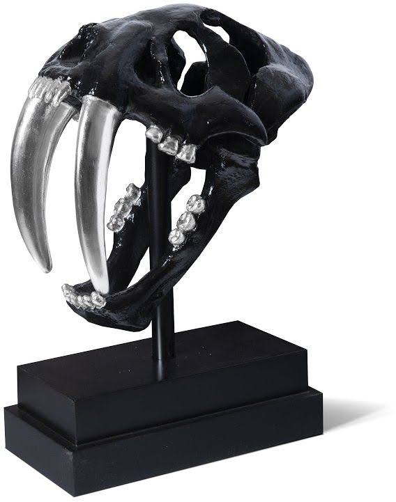 Black Saber Tooth Tiger Skull O600884