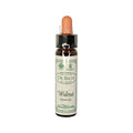 Walnut Flower Essence 10ml Z562