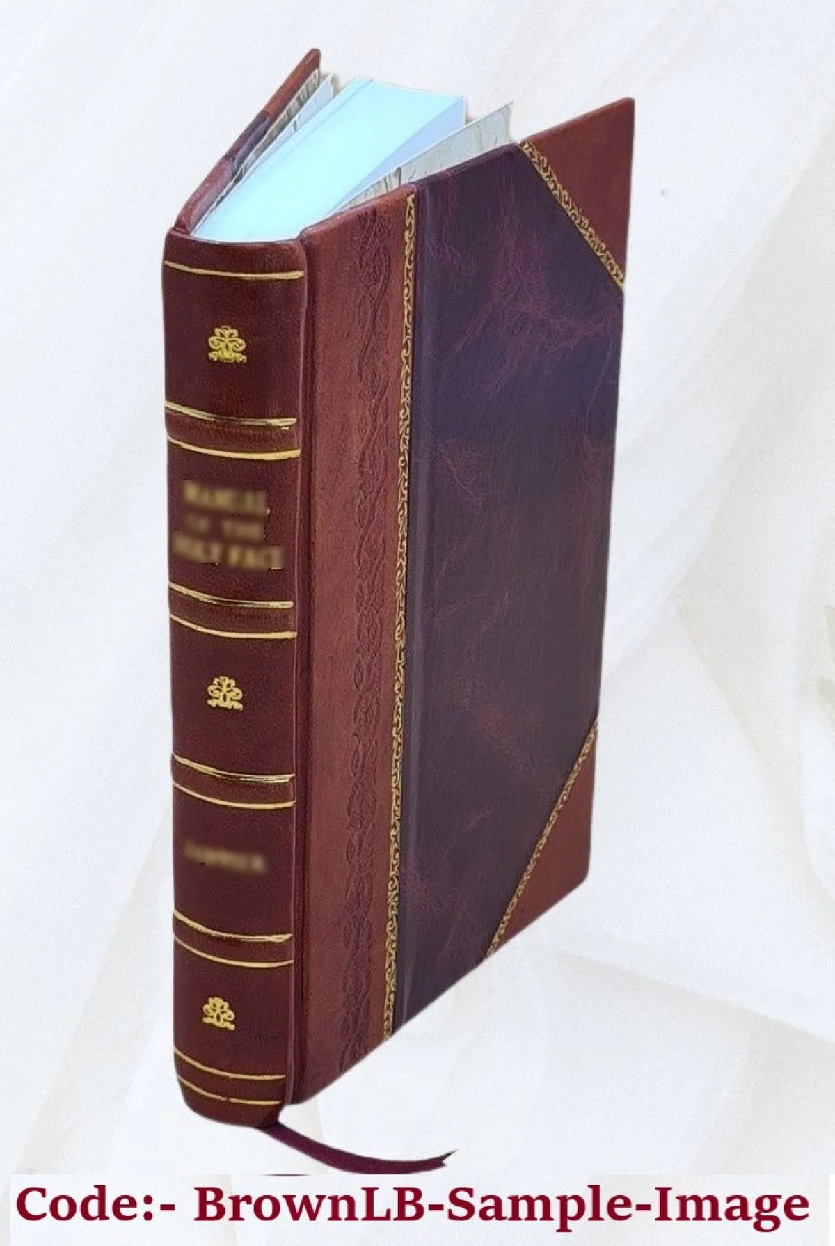 English Forays Buccaneers Ships Sailors Leather Bound U12089