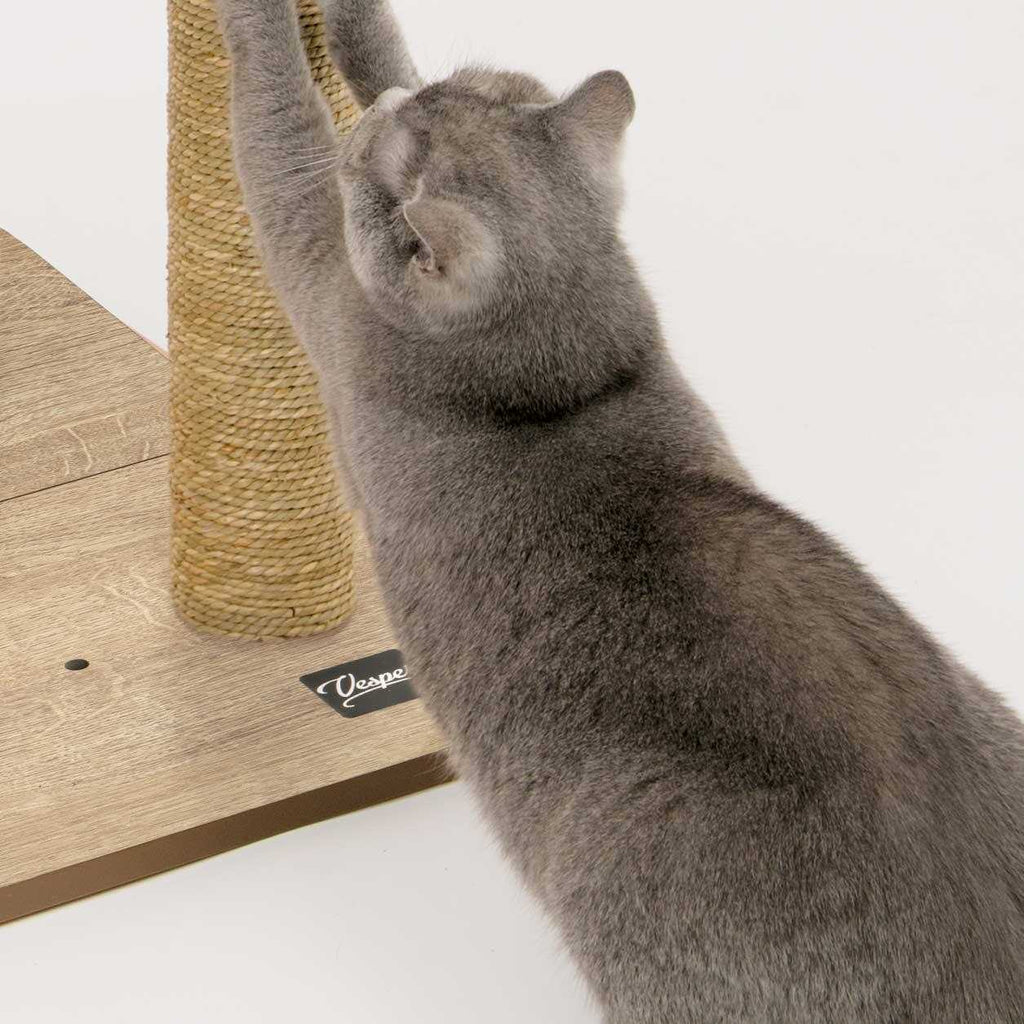 Cat Tree J96209