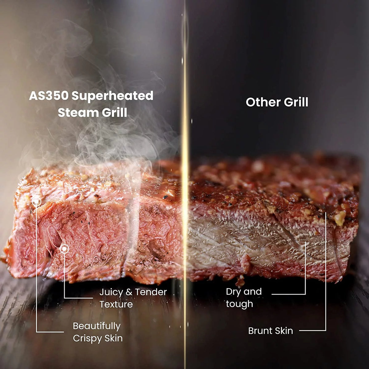 Portable Wood Pellet Grill & Smoker X4993