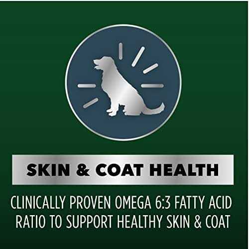 Chicken and Salmon Recipe Dry Dog Food G14335