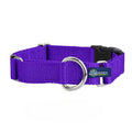 Martingale Dog Collar W701
