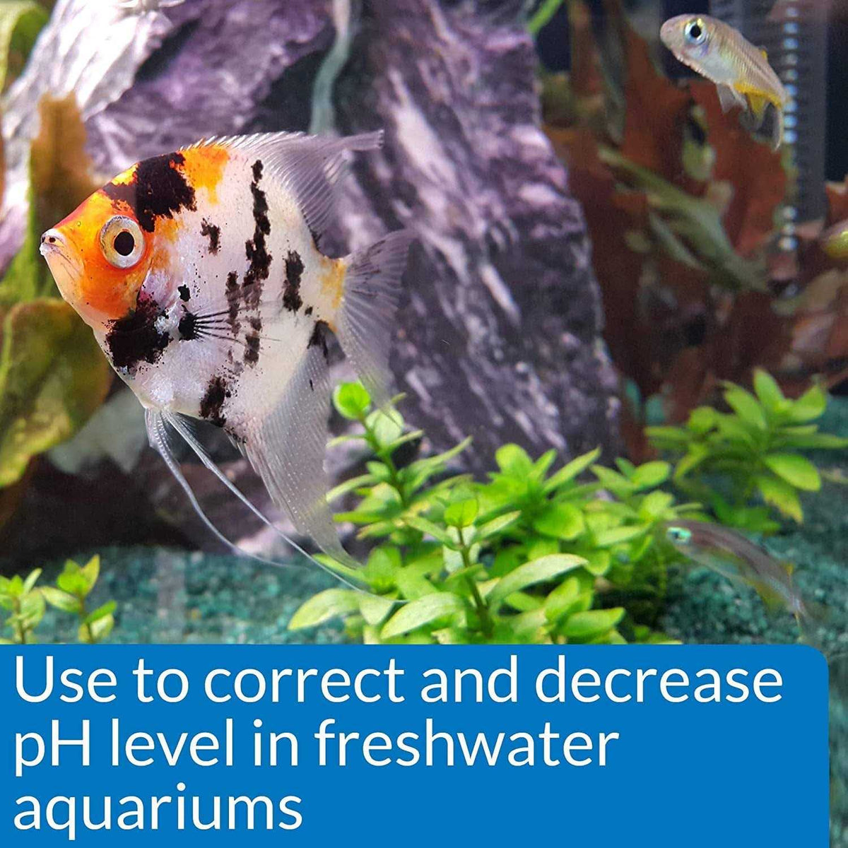 Aquarium pH Down K73980