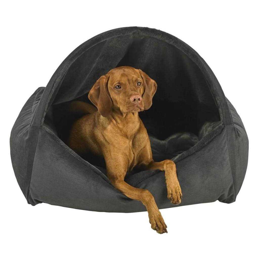 Canopy Dog Bed Q6960