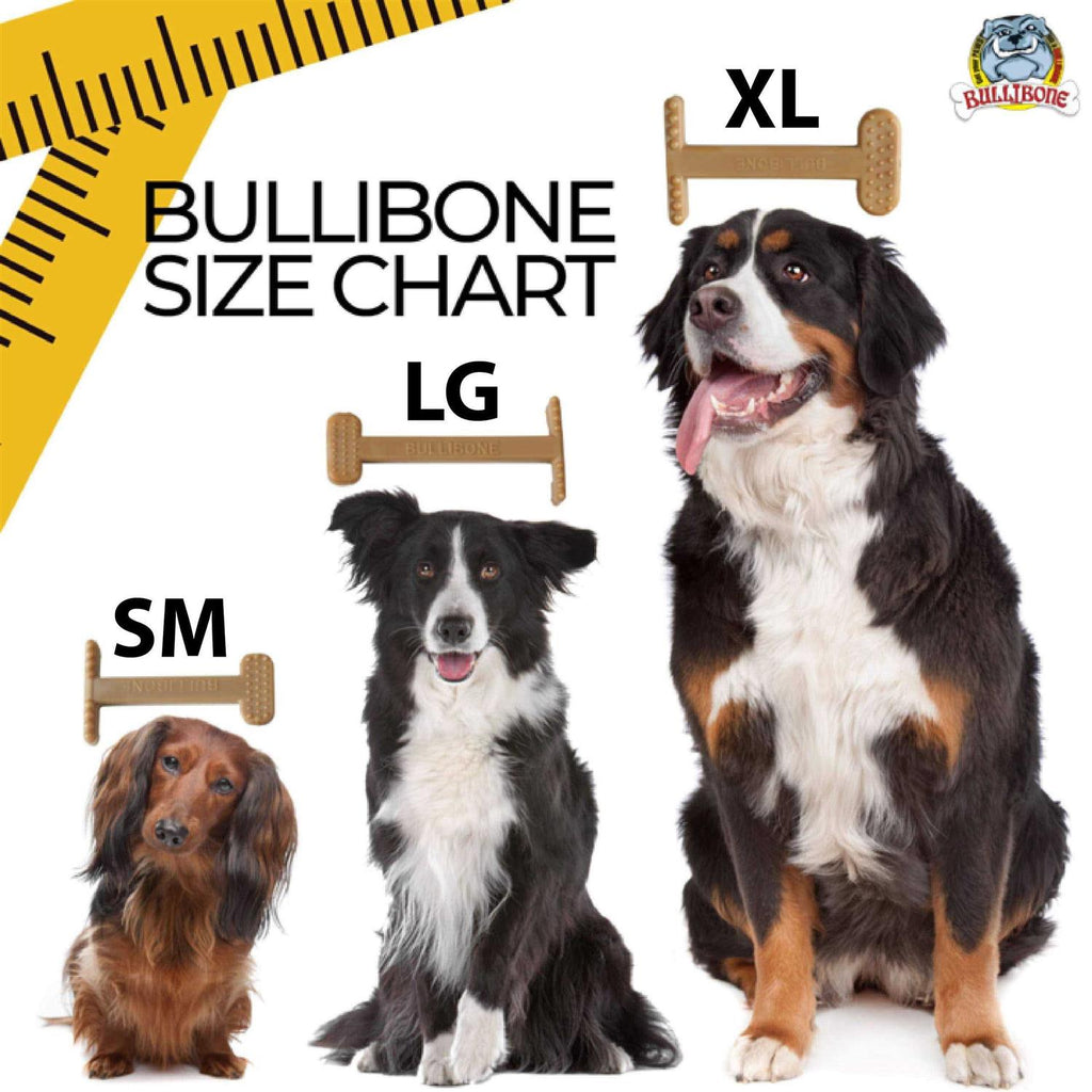 Nylon Dog Chew Toy G9872