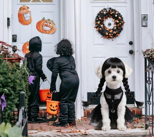 Black Dog Costume with Wig and Belt T2217