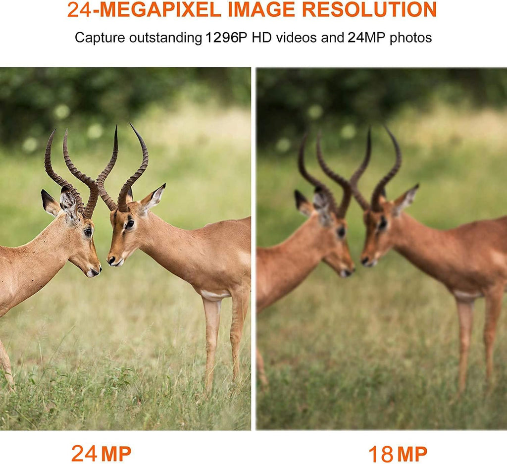 5-Pack No Glow Game Deer Trail Cameras Night Vision 24MP Photo 1296P H.264 MP4 Video Motion Activated Waterproof Time Lapse Photo & Video S14996