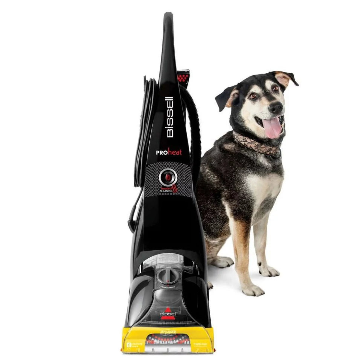 Full-Size Carpet Cleaner Carpet Washer D6002