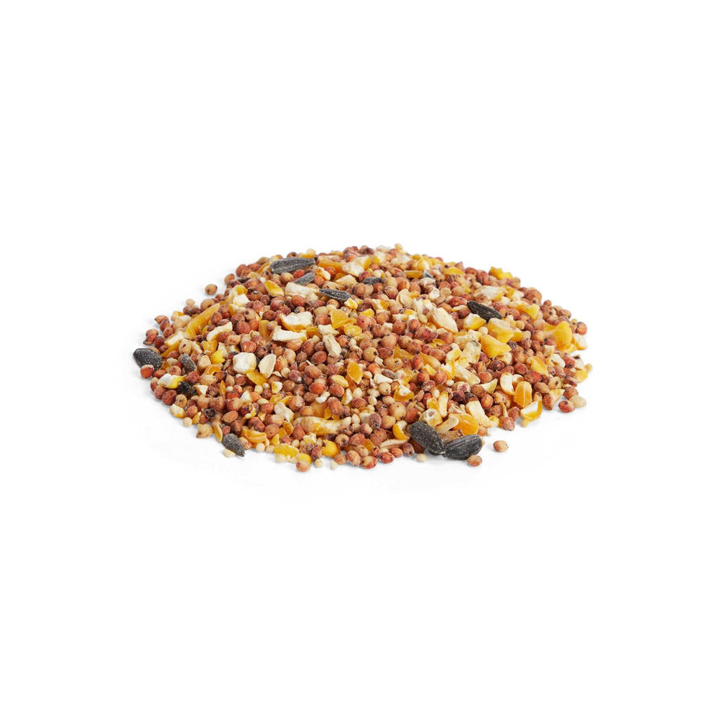 All Purpose Seed Mix Wild Bird Food N90778