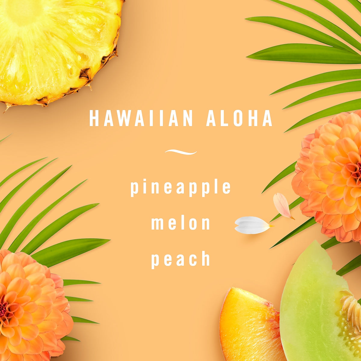 Hawaiian Aloha Air Freshener, Pack of 2, 8.8 oz each D6705