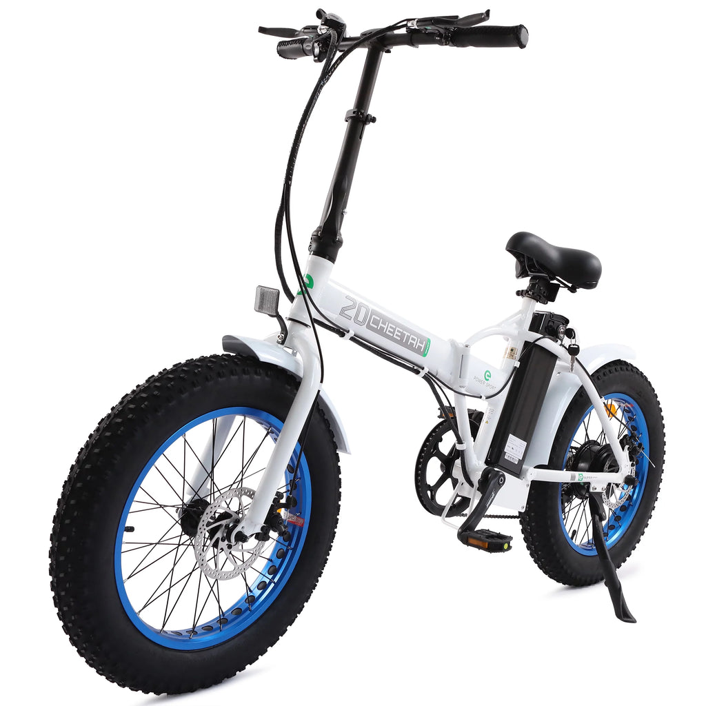 20" Fat Tire Folding Electric Bike B699