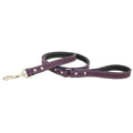 Purple Dog Leash 0.5x22 x 72x22 O999242