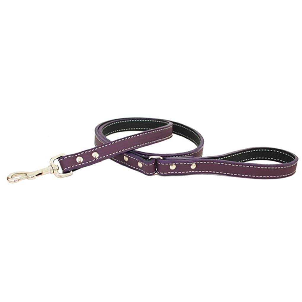 Purple Dog Leash 0.5x22 x 72x22 O999242
