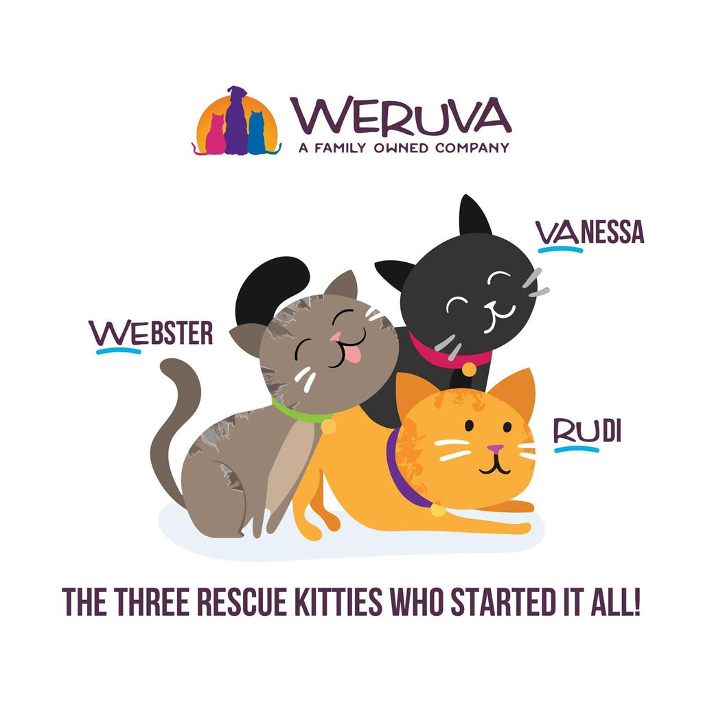 Wet Cat Food Y320335